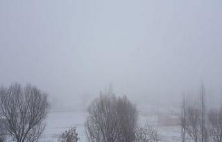 Doğu Anadolu bölgesi için Meteorolojik uyarı