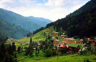 Doğu Karadeniz’de ‘biyokaçakçılık’ uyarısı