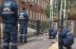 Dükkanlar kapandı, sokak hayvanlarının imdadına...