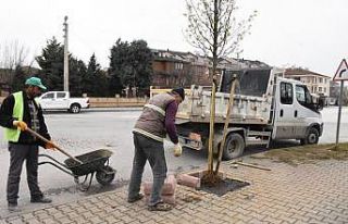 Düzce mis gibi kokacak
