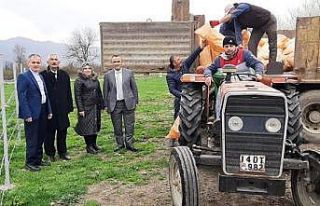 Düzce’de meraların ot verimini arttırılıyor