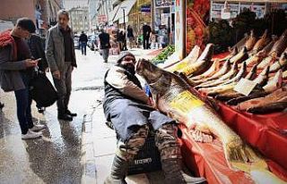 Elazığ’da son yılların en büyük turnası yakalandı,...