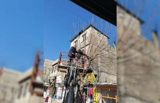 Elbeyli belediyesi çalışmaları hız verdi