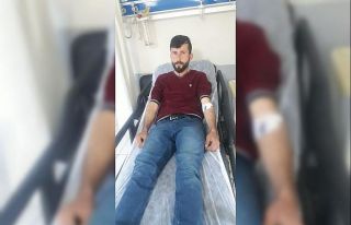 Elektrik akımına kapılan koyununu kurtarmaya çalışırken...