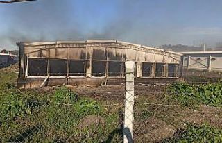 Elektrik kontağı tavukhaneyi küle çevirdi