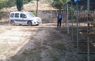 Emet’te hayvan pazarı kapatıldı