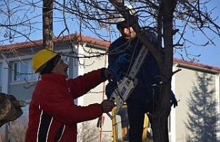 Emet’te yeşil alan seferberliği
