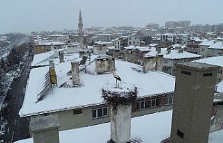 Erken göçen leylek kar sürprizi yaşadı