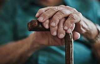 Erzincan’da yaşlı nüfusun toplam nüfus içindeki...