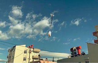 Evden çıkamadı, alışveriş için evden markete...