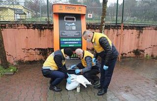 Eyüpsultan’da sokak hayvanları için besleme çalışmaları