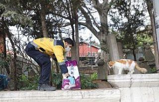 Eyüspultan’da sokak hayvanları unutulmadı