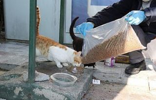 Gaziemir’de can dostlara mama ve su desteği