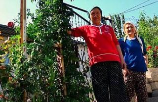 Gecekondulu kadınlar araştırma konusu oldu