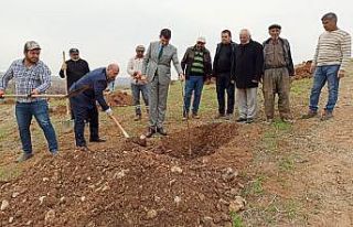 Gölbaşı ilçesinde ceviz projesi