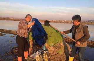 Güme ile yasa dışı ördek avına geçit yok