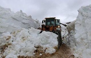 Gümüşhane’de mart ayında karla mücadele devam...