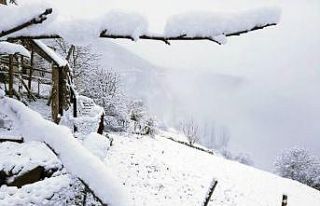 Gümüşhane’nin yükseklerinde kar yağışı etkili...