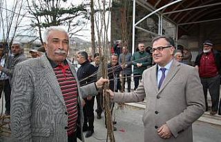 Hacılar Belediyesi’nden meyve fidanı dağıtımı