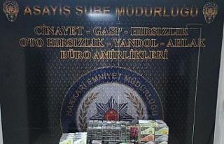 Hakkari’de hırsızlık malzemeleri ele geçirildi