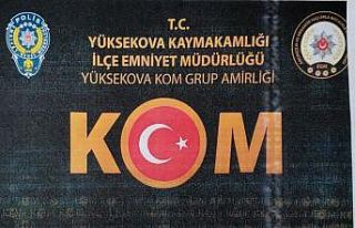 Hakkari’de safran ve trüf mantarı ele geçirildi