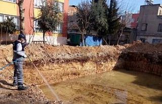 Haşereyle mücadele çalışmalarına devam