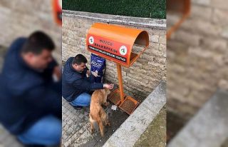 Hayvanların yemlikleri dezenfekte edildi yem bırakıldı