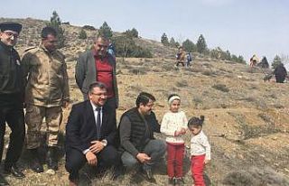 Hekimhan’da fidanlar toprakla buluşturuldu