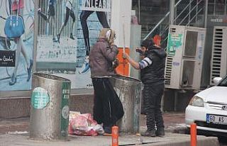 Hiçbir şeye aldırmadan çöp bidonuna daldılar