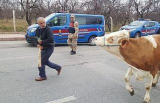 Hırsızlık, 258 saatlik kamera görüntüsü ile...