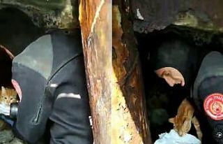 İBB ekiplerinden iskele demirlerinde mahsur kalan...