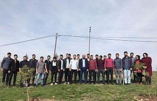 İdlib şehitleri anısına fidan dikildi
