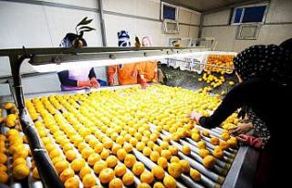 İhracatçılar için tüm imkanlar seferber ediliyor