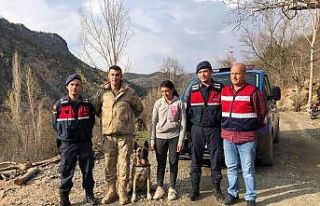 İz takip köpeği Kahraman 15 yaşındaki zihinsel...