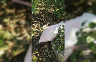 İzinsiz dinamit patlatmak isteyen bir kişi tutuklandı