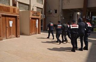 Jandarma, hayvan hırsızlarını kameraları didik...