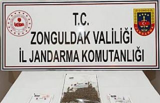 Jandarmadan uyuşturucu operasyonu; 3 gözaltı