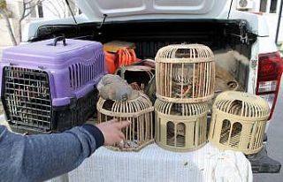 Kaçak keklik avına 15 bin 528 TL ceza