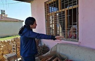 Kadın Kaymakam Büyüknalçacı, yaşlılara ihtiyaçlarını...