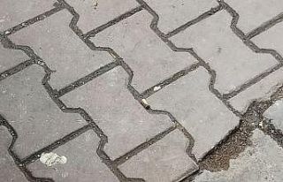 Kağıthane’de dehşet