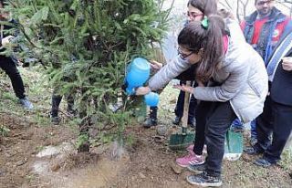 Kağıthane’de yeşil alanlar arttırılıyor