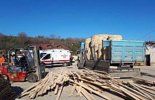 Kamyondan dökülen tahtaların altında kalan işçi...