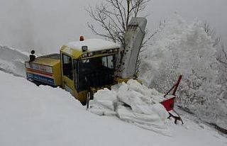 Kar kalınlığının 2-3 metreyi bulduğu yolda ekipler...
