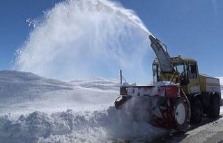 Kar kalınlığının 4-5 metreyi bulduğu bölgede...