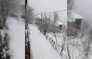 Karabük baharda yağan karla beyaza büründü