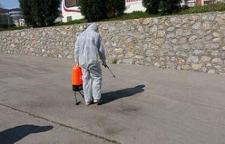 Karabük’te çekirge istilası korkuttu