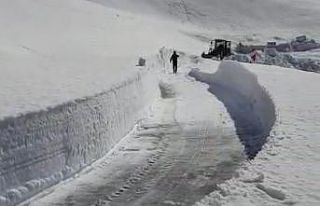 Kardan kapanan Nemrut Dağı yolu yeniden ulaşıma...
