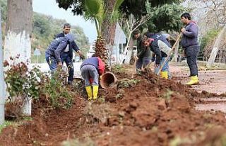 Kaş Belediyesinden peyzaj çalışması