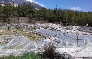 Kaş’ta hortum seraları vurdu