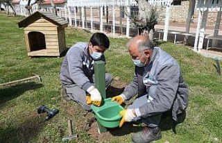 Kepez’de mama ve su kabı sayısı artırıldı